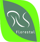 RS Florestal